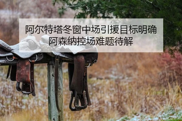 阿尔特塔冬窗中场引援目标明确 阿森纳控场难题待解